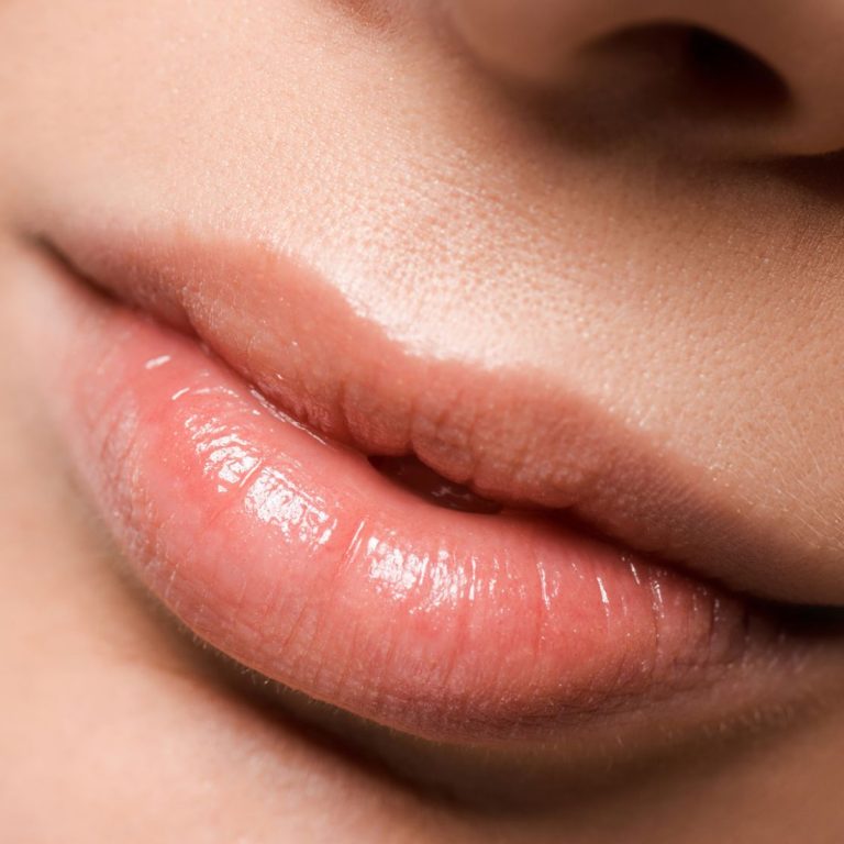Russian Lips dudak dolgusu değerlendirmesinde üst ve alt dudak anatomisi, Cupid yayı ve dudak konturlarını gösteren çizim.